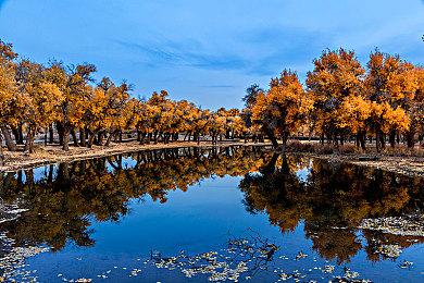 《巫师：重制版》将在《巫师4》之后推出 耐心等待吧